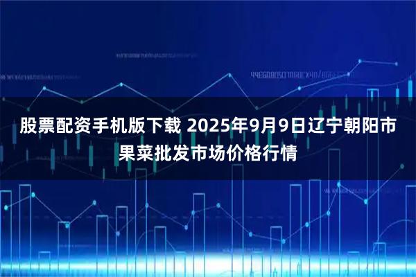 股票配资手机版下载 2025年9月9日辽宁朝阳市果菜批发市场价格行情