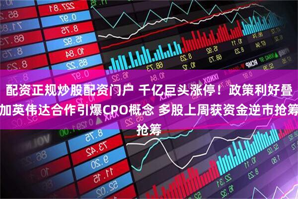 配资正规炒股配资门户 千亿巨头涨停！政策利好叠加英伟达合作引爆CPO概念 多股上周获资金逆市抢筹