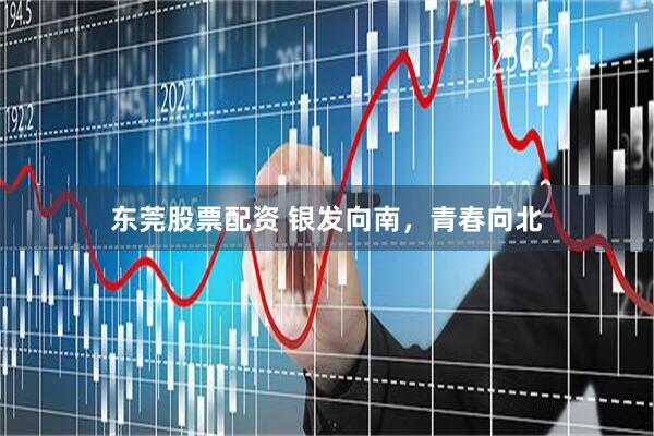 东莞股票配资 银发向南，青春向北
