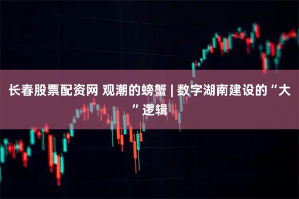 长春股票配资网 观潮的螃蟹 | 数字湖南建设的“大”逻辑