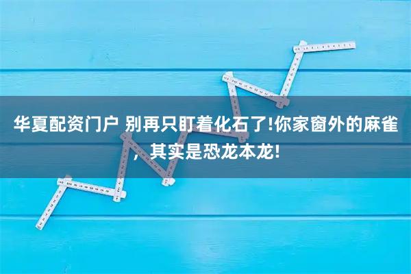 华夏配资门户 别再只盯着化石了!你家窗外的麻雀，其实是恐龙本龙!