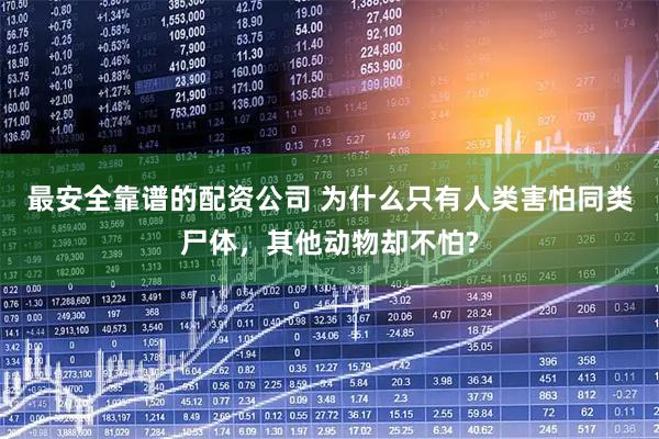 最安全靠谱的配资公司 为什么只有人类害怕同类尸体，其他动物却不怕?