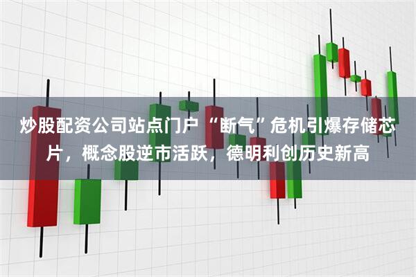 炒股配资公司站点门户 “断气”危机引爆存储芯片，概念股逆市活跃，德明利创历史新高