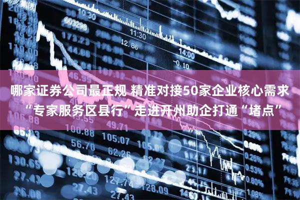 哪家证券公司最正规 精准对接50家企业核心需求 “专家服务区县行”走进开州助企打通“堵点”